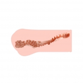 Мастурбатор-вагина Monica без вибрации - KOKOS - в Ельце купить с доставкой