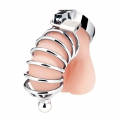 Серебристая клетка для члена Urethral Play Cage - BlueLine - купить с доставкой в Ельце