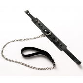 Черный ошейник с шипами и поводком - Crazy Handmade - купить с доставкой в Ельце