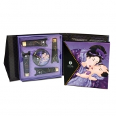 Подарочный набор Geishas secret из 5 предметов - Shunga - купить с доставкой в Ельце