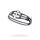 Черный кожаный пояс с кольцами - Pecado - купить с доставкой в Ельце