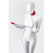 Красный ошейник с подкладкой из меха - ToyFa - купить с доставкой в Ельце