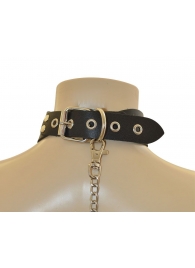 Ошейник  Веселый Роджер - Sitabella - купить с доставкой в Ельце