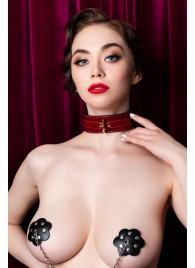 Красный ошейник из лакированного материала - ToyFa - купить с доставкой в Ельце