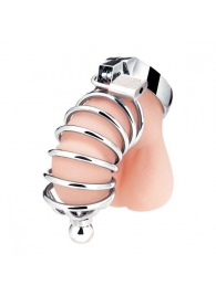 Серебристая клетка для члена Urethral Play Cage - BlueLine - купить с доставкой в Ельце