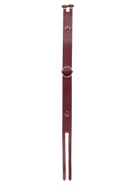 Бордовый ремень Halo Waist Belt - размер L-XL - Shots Media BV - купить с доставкой в Ельце