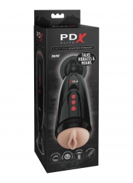 Мастурбатор-вагина с вибрацией Dirty Talk Starter Stroker - Pipedream - в Ельце купить с доставкой