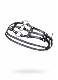 Черный кожаный пояс с кольцами - Pecado - купить с доставкой в Ельце