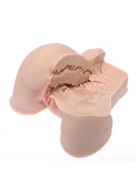 Мастурбатор-полуторс Naked Factory Kate - Naked Factory - в Ельце купить с доставкой