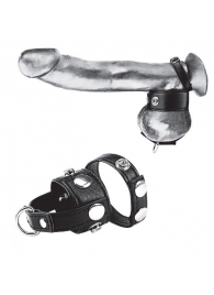 Утяжка для мошонки и пениса Cock Ring With 1  Ball Stretcher And Optional Weight Ring - BlueLine - купить с доставкой в Ельце