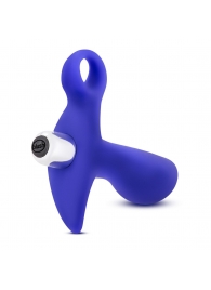 Синий стимулятор простаты с ручкой-кольцом Performance Prostimulator 02 - Blush Novelties - в Ельце купить с доставкой