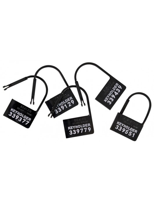 Набор для мужского пояса верности Cock Cage Set - Orion - купить с доставкой в Ельце