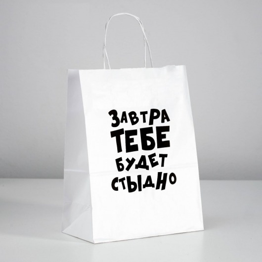 Подарочный пакет  Завтра тебе будет стыдно  - 30 х 24 см. - UPAK LAND - купить с доставкой в Ельце