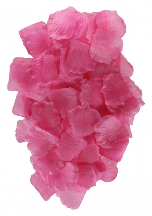 Эротический набор FANTASTIC PURPLE SEX TOY KIT - Toy Joy - купить с доставкой в Ельце