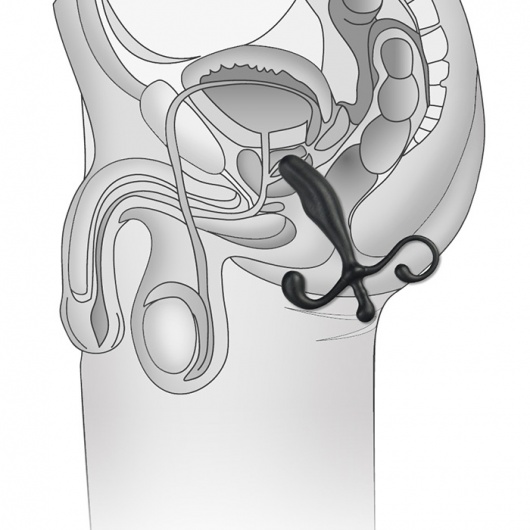 Массажер простаты - 12.7 см. - BlueLine - в Ельце купить с доставкой