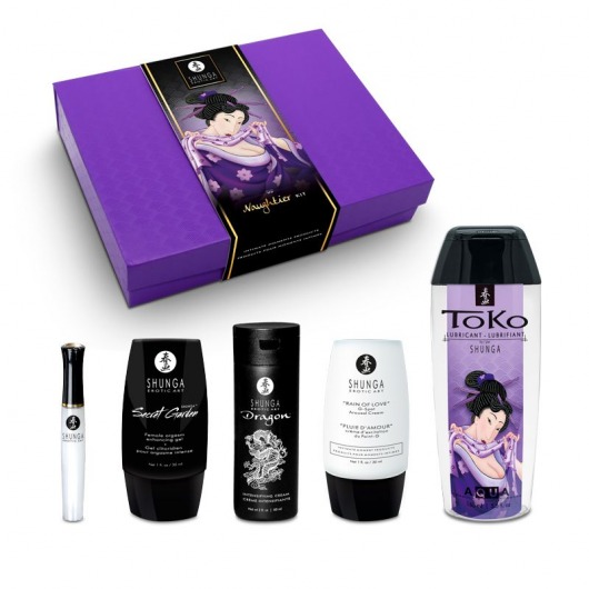 Подарочный набор Naughter Kit - Shunga - купить с доставкой в Ельце