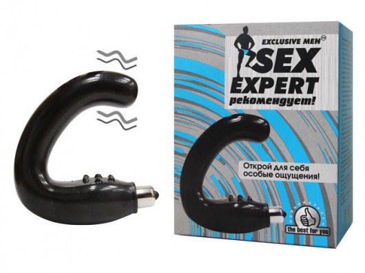 Чёрный массажёр простаты серии Sex Expert - Sex Expert - в Ельце купить с доставкой