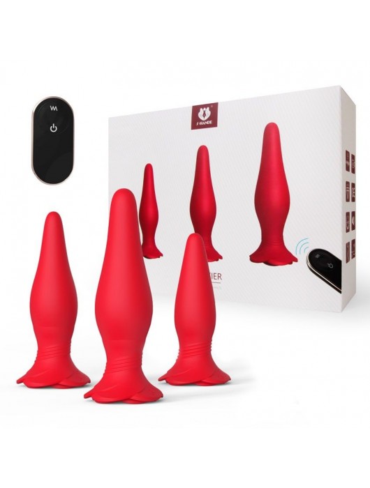 Набор Frenzier из 3 анальных пробок и вибропули с пультом ДУ - S-HANDE