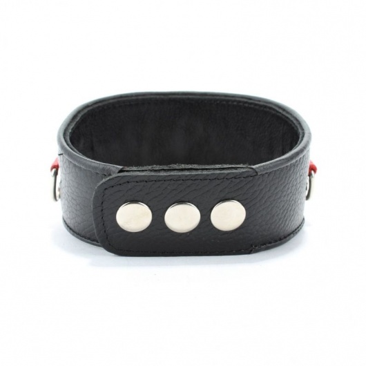 Кожаный ошейник с металлическими клепками - БДСМ Арсенал - купить с доставкой в Ельце