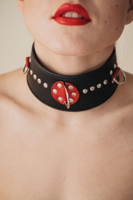 Кожаный ошейник с металлическими клепками - БДСМ Арсенал - купить с доставкой в Ельце