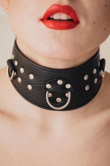 Кожаный ошейник для эротических игр - БДСМ Арсенал - купить с доставкой в Ельце
