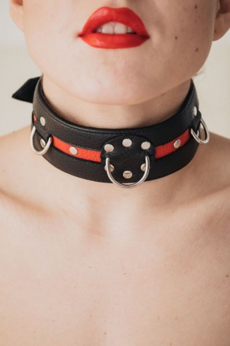 Черно-красный ошейник на пряжке - БДСМ Арсенал - купить с доставкой в Ельце