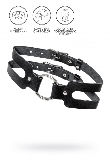 Черный кожаный чокер-ошейник из двух ремешков - Pecado - купить с доставкой в Ельце