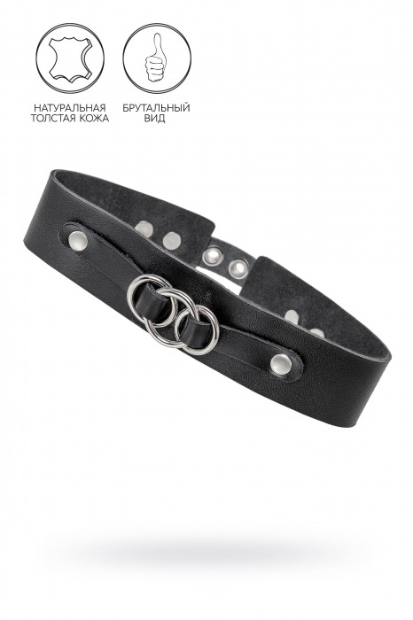 Черный чокер-ошейник со связанными кольцами на подложке - Pecado - купить с доставкой в Ельце