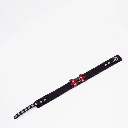 Черный ошейник с красным декором и строчкой - Crazy Handmade - купить с доставкой в Ельце