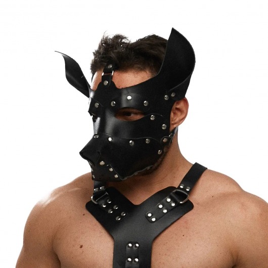 Черная кожаная маска «Собака» - Crazy Handmade - купить с доставкой в Ельце
