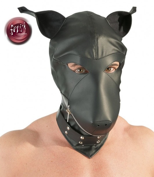 Шлем-маска Dog Mask в виде морды собаки - Orion - купить с доставкой в Ельце
