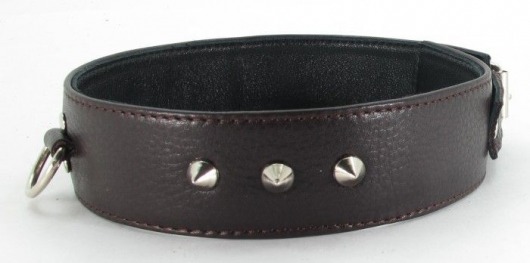 Коричневый кожаный ошейник с кольцом увеличенного размера - БДСМ Арсенал - купить с доставкой в Ельце