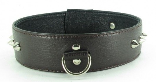 Коричневый кожаный ошейник с кольцом увеличенного размера - БДСМ Арсенал - купить с доставкой в Ельце