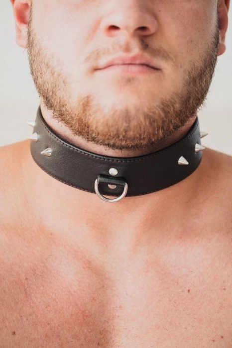Коричневый кожаный ошейник с кольцом увеличенного размера - БДСМ Арсенал - купить с доставкой в Ельце