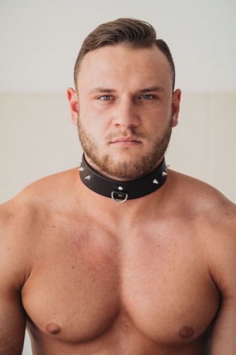 Коричневый кожаный ошейник с кольцом увеличенного размера - БДСМ Арсенал - купить с доставкой в Ельце