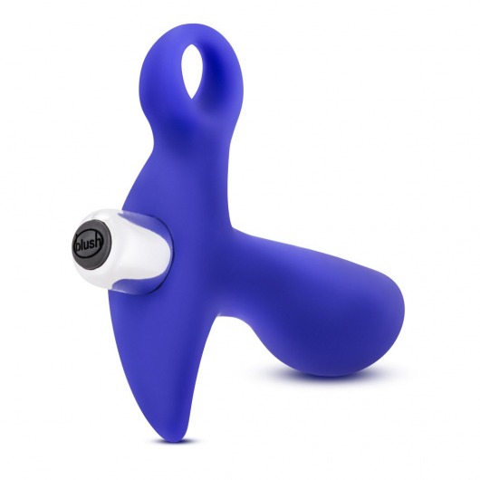 Синий стимулятор простаты с ручкой-кольцом Performance Prostimulator 02 - Blush Novelties - в Ельце купить с доставкой