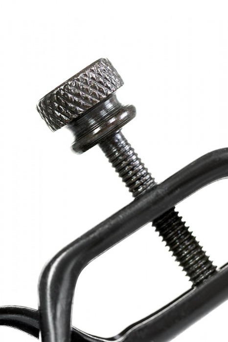 Черно-золотистые зажимы для сосков TOYFA Theatre - ToyFa - купить с доставкой в Ельце